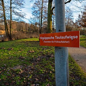 Taupetten.jpg