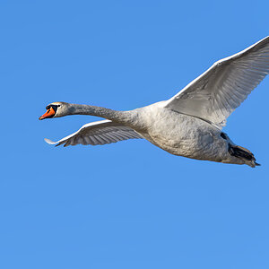 OF5_26811.jpg