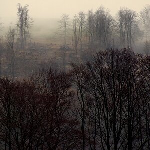 DSC_3045.jpeg