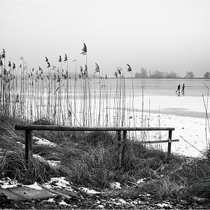 comp_DSC09677 SW.jpg