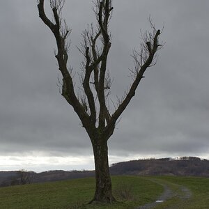 DSC_3094.jpeg