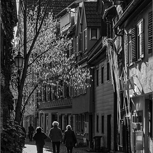 DS2_5843.jpg