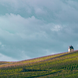 Wingertshäuschen im Rheingau