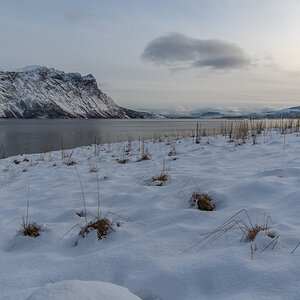 2023 Lofoten-12.jpg