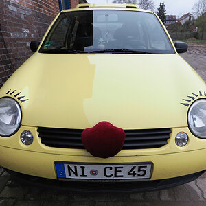 Red Nose Car.jpg