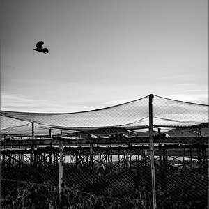 20210912-L1002679-Bearbeitet.JPG
