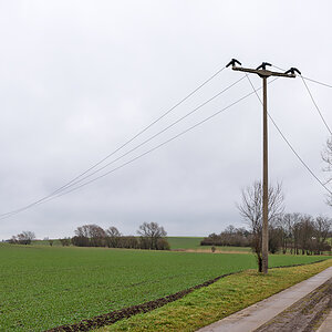 OF2_61924.jpg