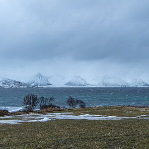 2023 Lofoten-54.jpg