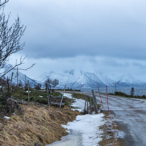 2023 Lofoten-59.jpg