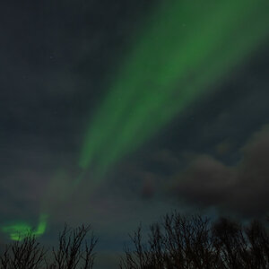 2023 Lofoten-74.jpg
