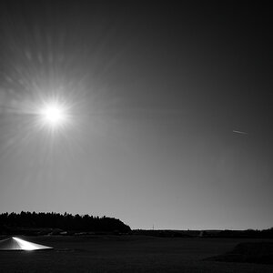 SF7_2451_1.jpg