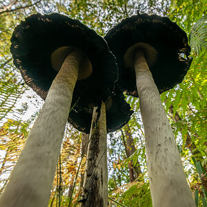 20201003-DSC_3033.jpg