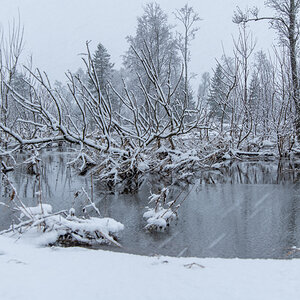 2023 Lofoten-96.jpg