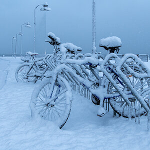 2023 Lofoten-116.jpg
