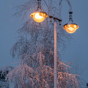 2023 Lofoten-119.jpg