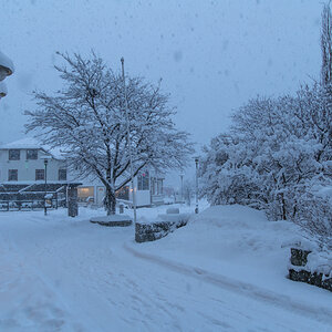 2023 Lofoten-139.jpg