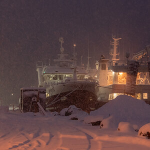 2023 Lofoten-143.jpg