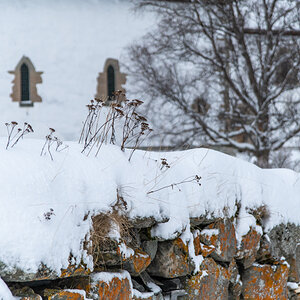2023 Lofoten-149.jpg