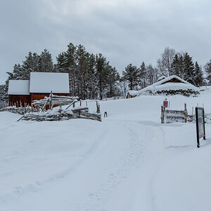2023 Lofoten-155.jpg