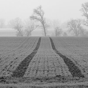 OF5_27250sw.jpg