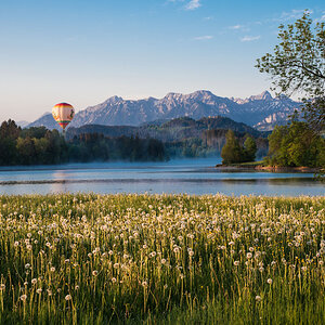 Am Schwaltenweiher