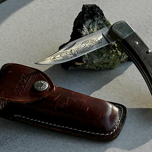 Buck Folding Hunter.jpg