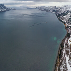 2023 Lofoten-203.jpg