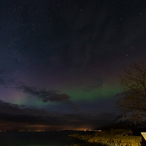 2023 Lofoten-211.jpg