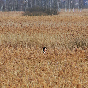 20110312-DSC_0540.jpg