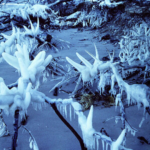 PICT0450.jpg