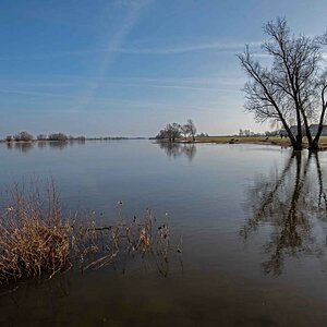 Elbe 2.jpg