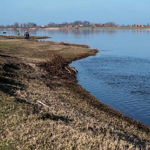Elbe 3.jpg