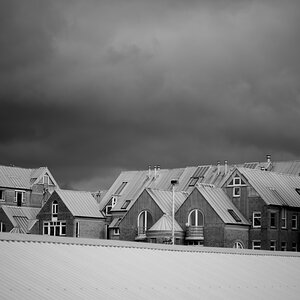 Z62_0720_1.jpg