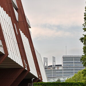 DSK_0504_nff.JPG