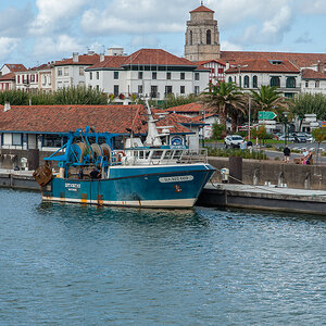 _DSC4007.jpg