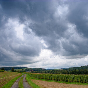 D75_9484.jpg