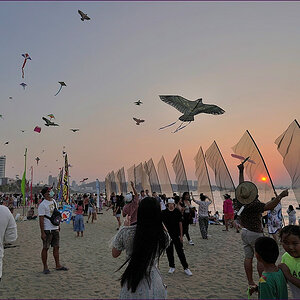 comp_2DSC00497.jpg