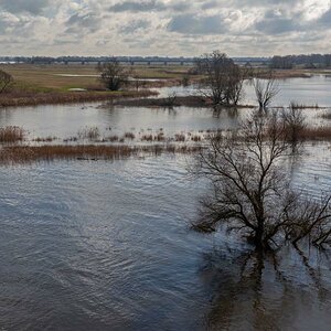 Elbe Dömitz 2.jpg