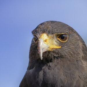 _DSC4810NF.jpg