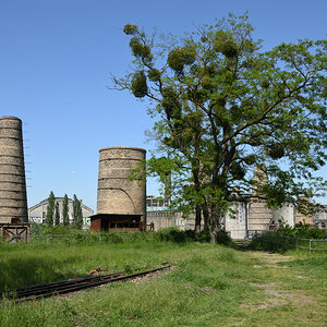 DSC_6782.JPG