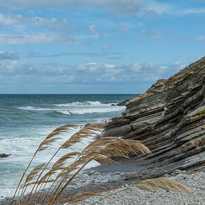 _DSC3950.jpg