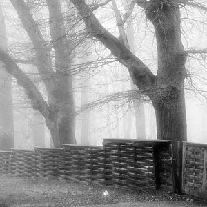 Nebel 1 BW.jpg