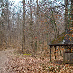 P3041959.jpg