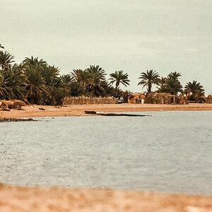 PA260694.jpg