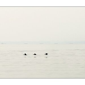 Ostsee, wenig I