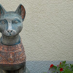 katze ladenburg