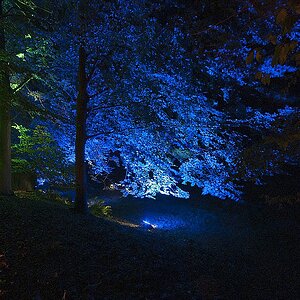 Bild 009
