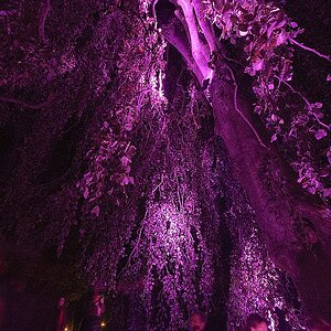 Bild 018