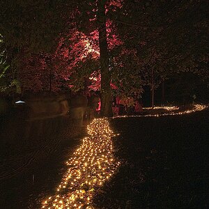 Bild 020