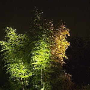 Bild 029